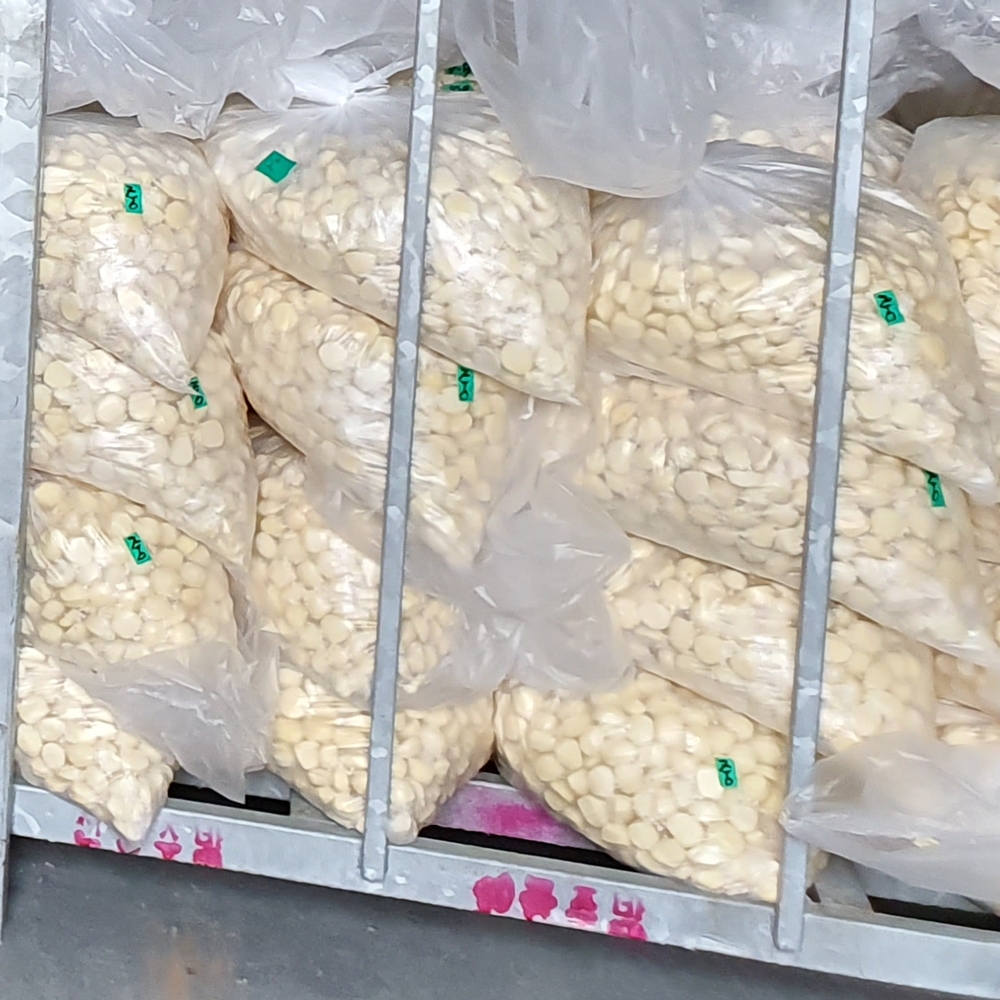 알밤 영양밥 햇밤 1kg 활용 꿀팁