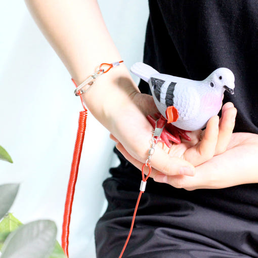 thumbnail-0