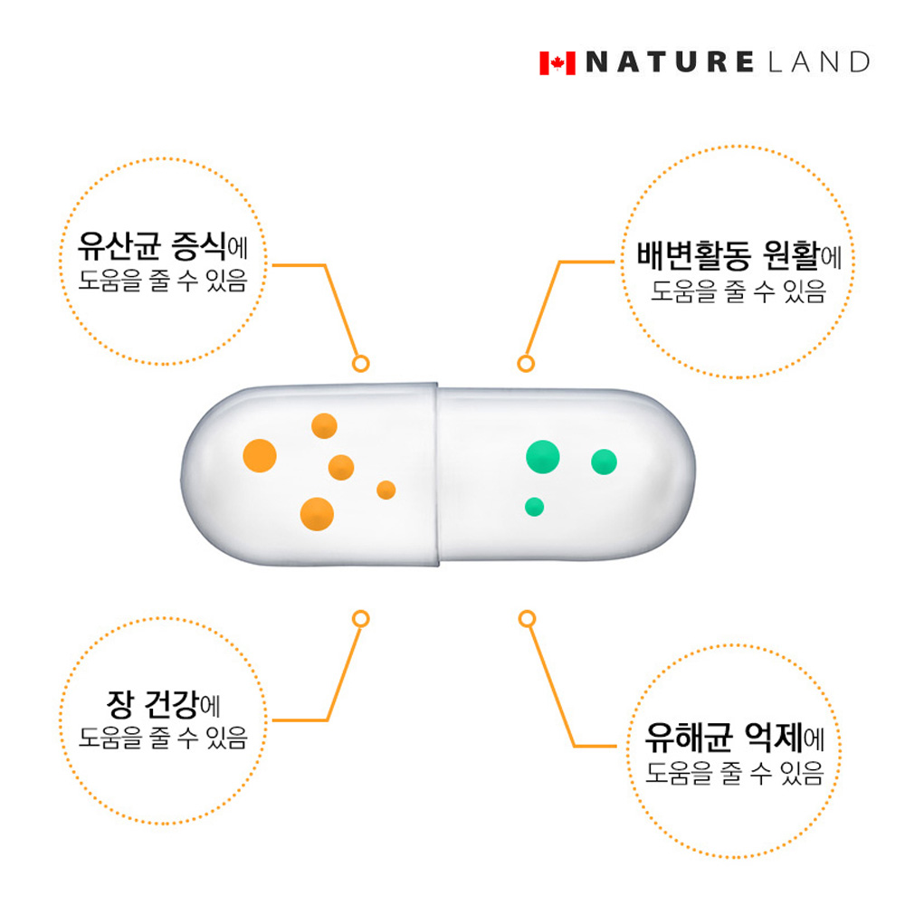 캐나다 프로바이오틱스 500억 투입 100억 유산균 2개월 - 상세 이미지 4
