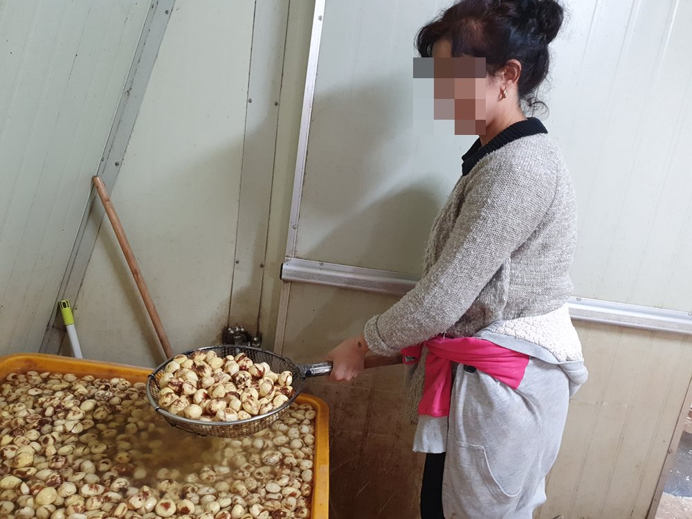 알밤 영양밥 햇밤 1kg 활용 꿀팁