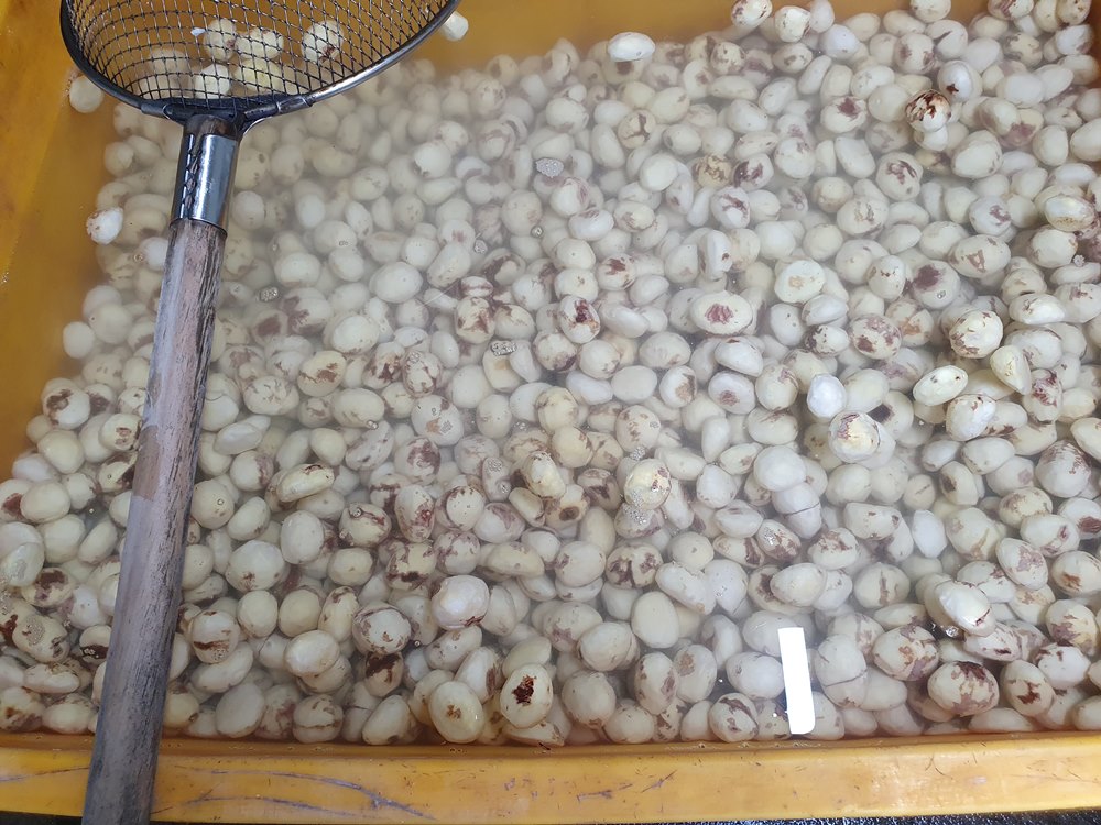 알밤 영양밥 햇밤 1kg 활용 꿀팁