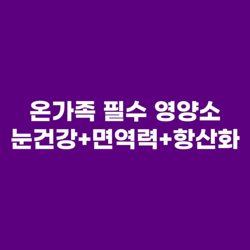제품 가이드 2