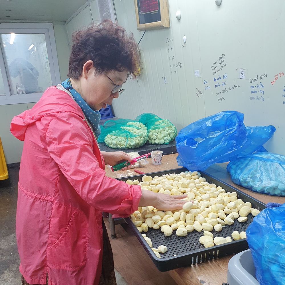 노루골농원 햇 깐밤 중 1kg 밤 단밤 선물용 - 상세 이미지 3