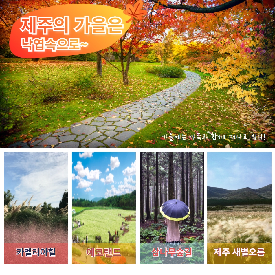 [부산울산대구서울출발] 제주가을억새풀특가 꽉찬2박3일 - 상세 이미지 5