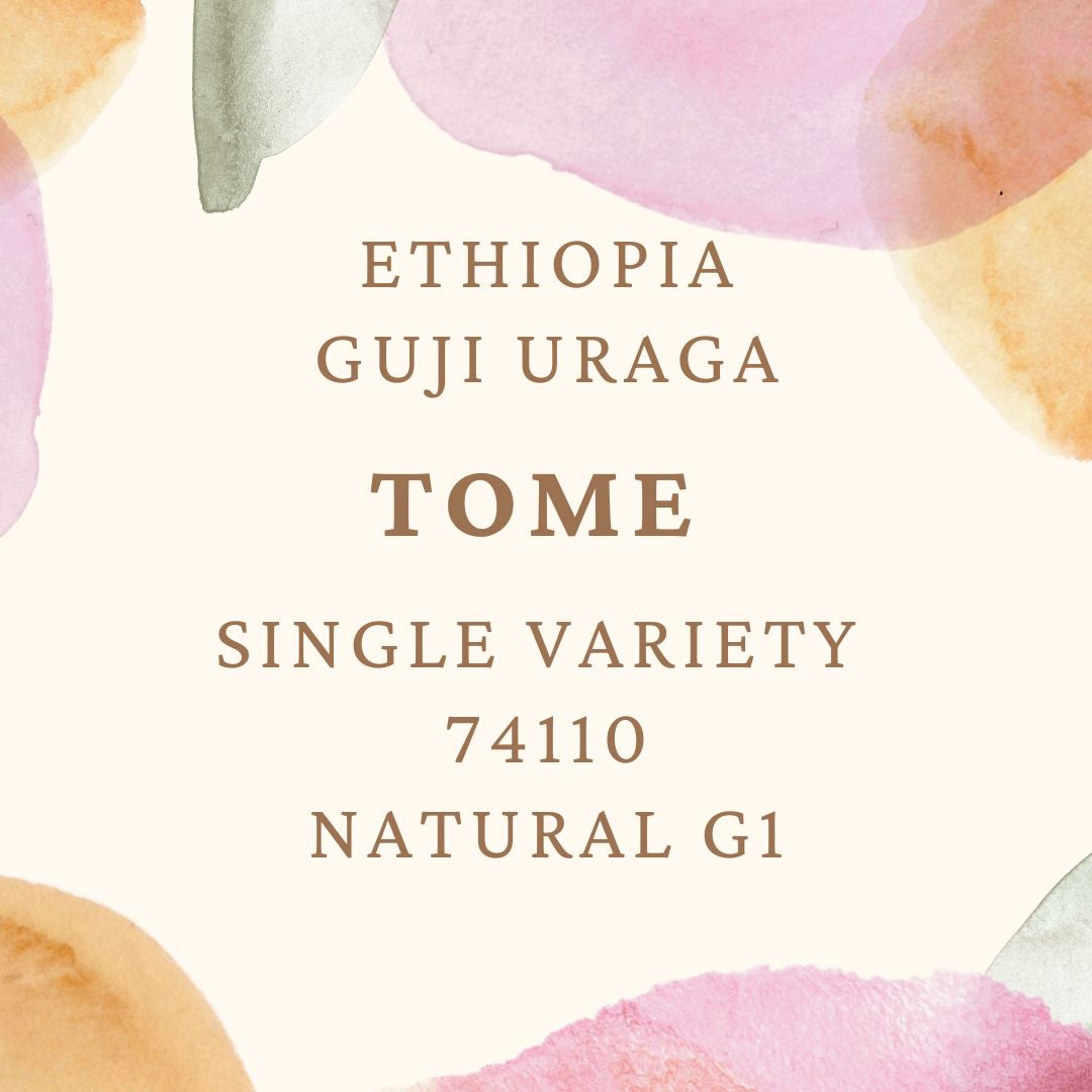 에티오피아 구지 우라가 토메 싱글 버라이어티 74110 내추럴 G1 5KG (GUJI URAGA TOME 74110 NATURAL)