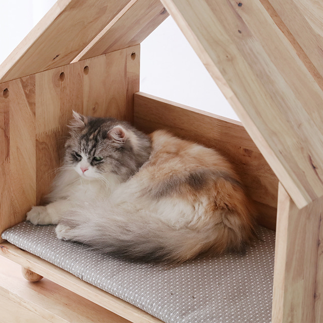 고양이 숨숨집 원목 강아지집 동굴 큐브 BENKU 펫하우스 - 상세 이미지 2