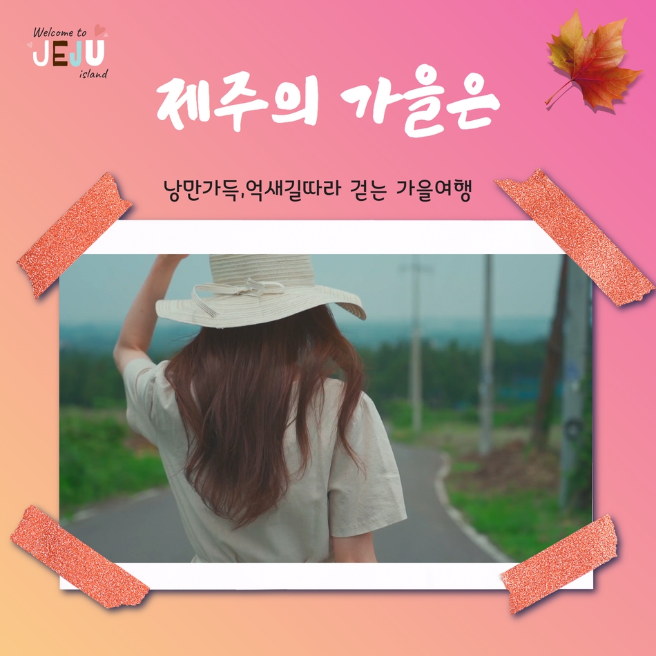 [부산울산대구서울출발] 제주가을억새풀특가 꽉찬2박3일 - 상세 이미지 3