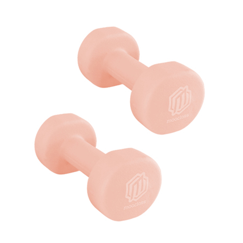 아령 아령 추천 논슬립 아령 1kg 아령 세트 아령 사용후기