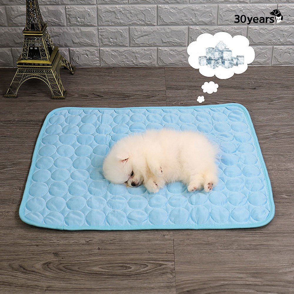 강아지쿨매트 고양이 쿨링 여름방석 냉매트 XS