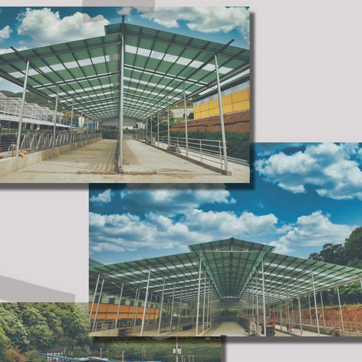 복층렉산 골판 폴리카보네이트 아크릴 지붕 지붕재 PC 랙산 판넬 3t 1000x1800