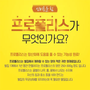 광동 프로폴리스 아연 60캡슐 면역력 세포보호 2개월분 맛있게 먹은 솔직 후기 - 상품 이미지 2