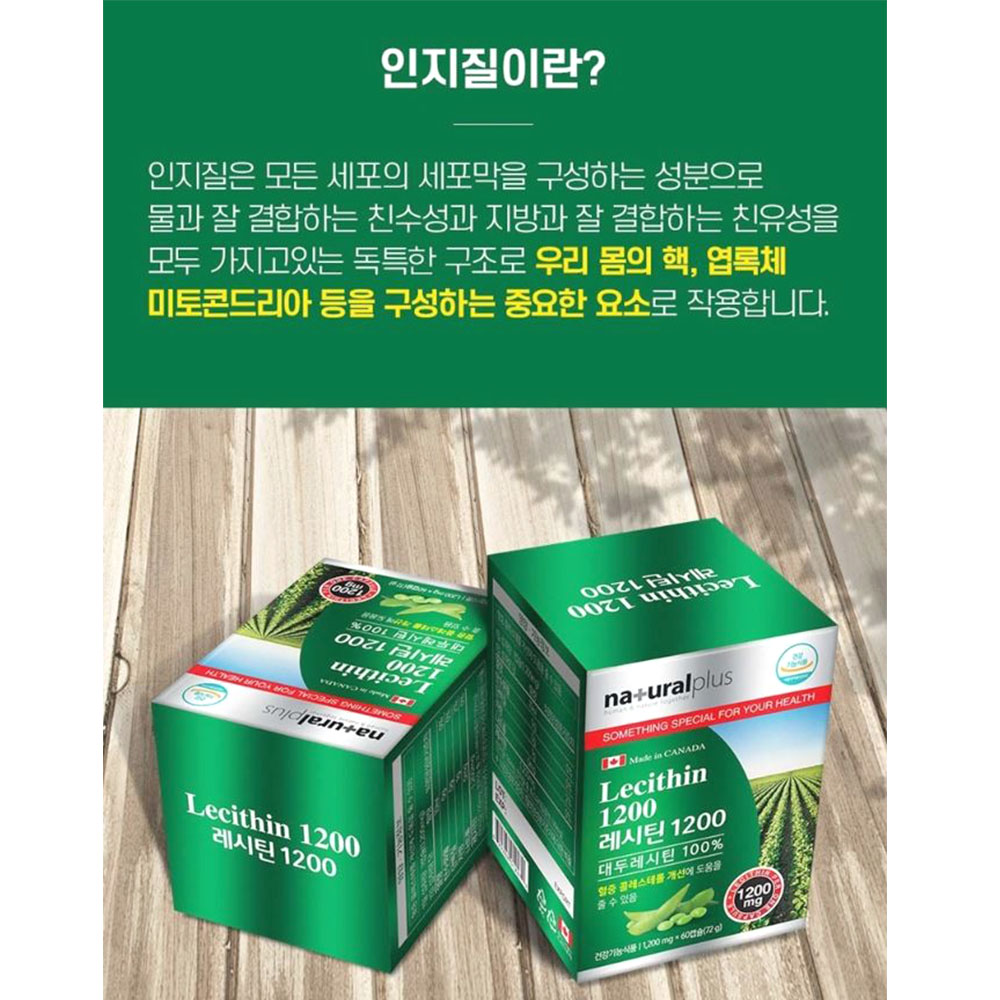 레시틴 1200 60캡슐 인지질 콜레스테롤개선 2개월분 이미지 3