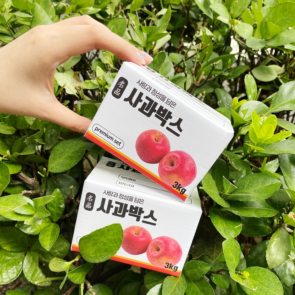 미니 사과 반전 용돈 박스 상자 [현금 이벤트 부모님 생일 생신 환갑 돈 선물 포장] - 상품 이미지