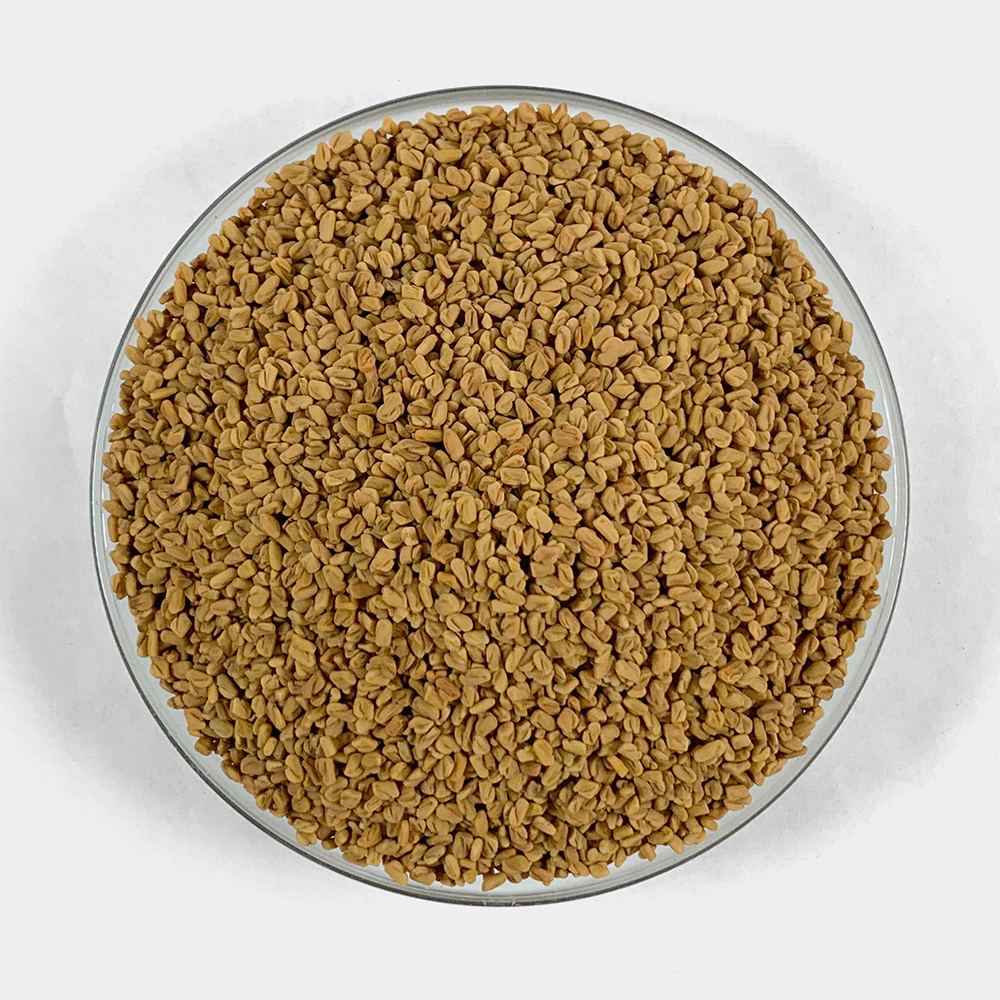 호로파 씨앗 250g 호로파씨 - 상세 이미지 4
