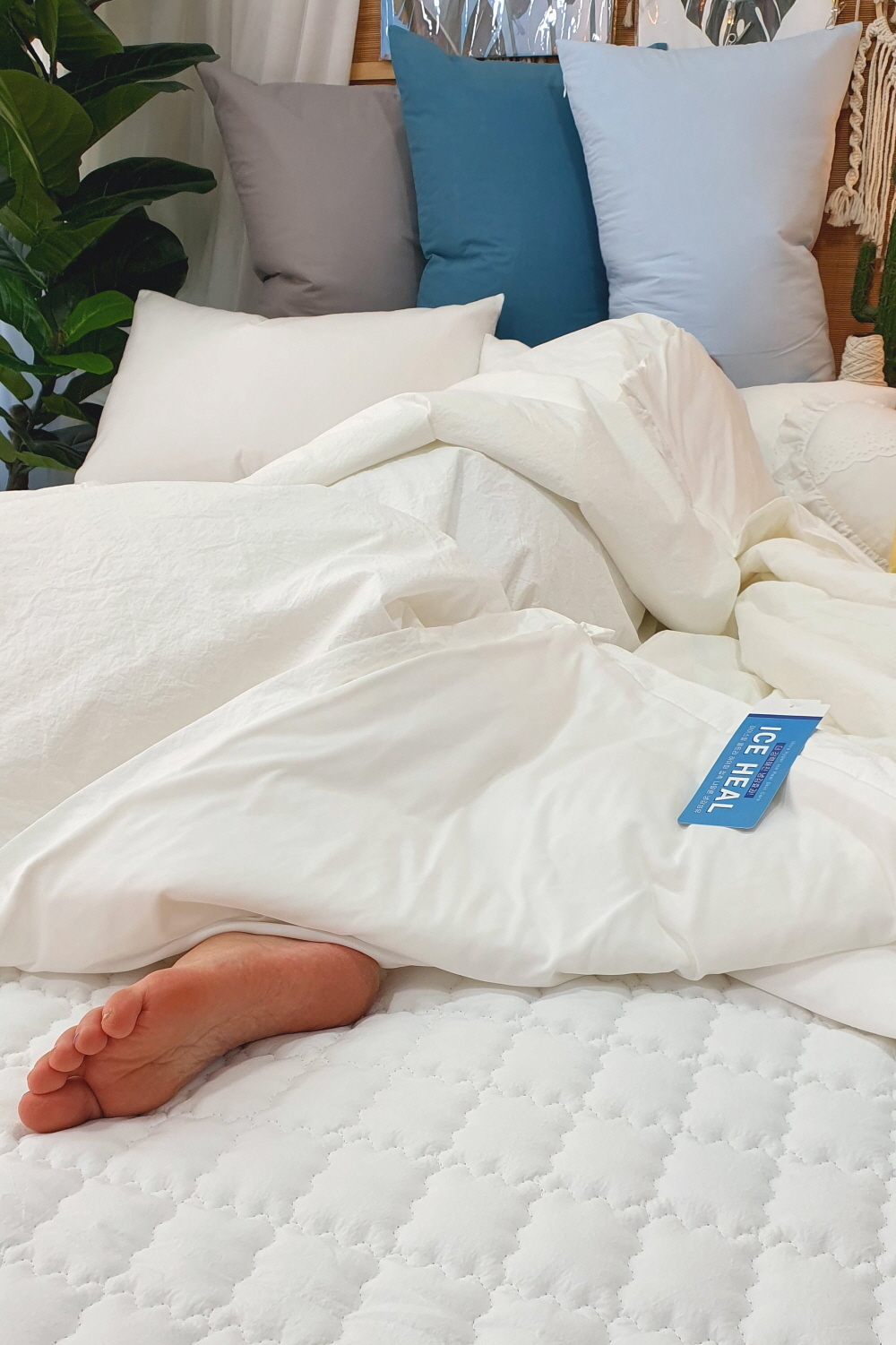 여름 냉감침대패드 국내생산 사계절 순면침대패드 고정밴드