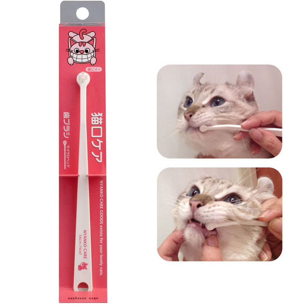 마인드업 냥코케어 고양이 칫솔 치석제거 양치 마이크로 제품 이미지