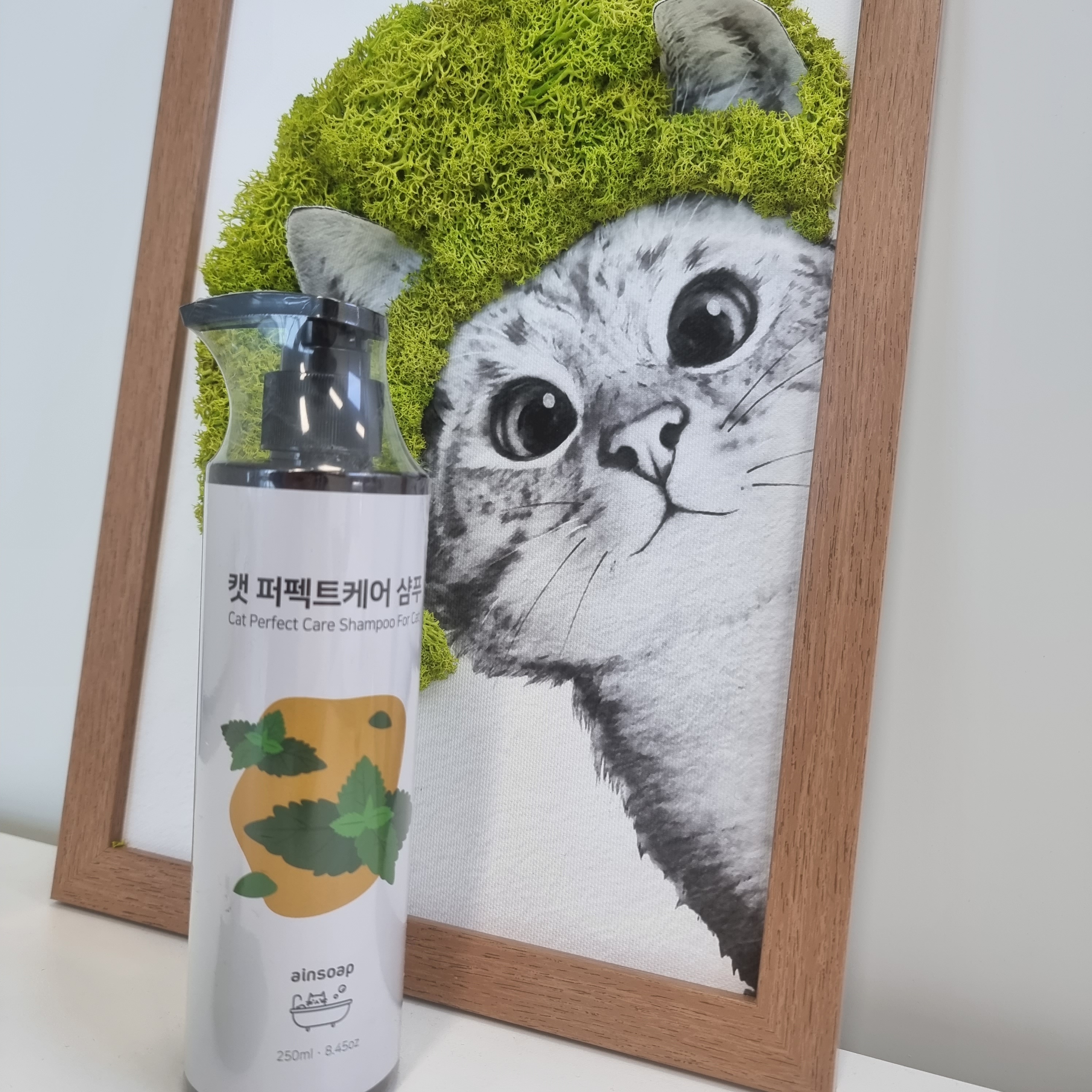반려묘 천연 목욕 캣퍼펙트케어샴푸250ml - 상세 이미지 5