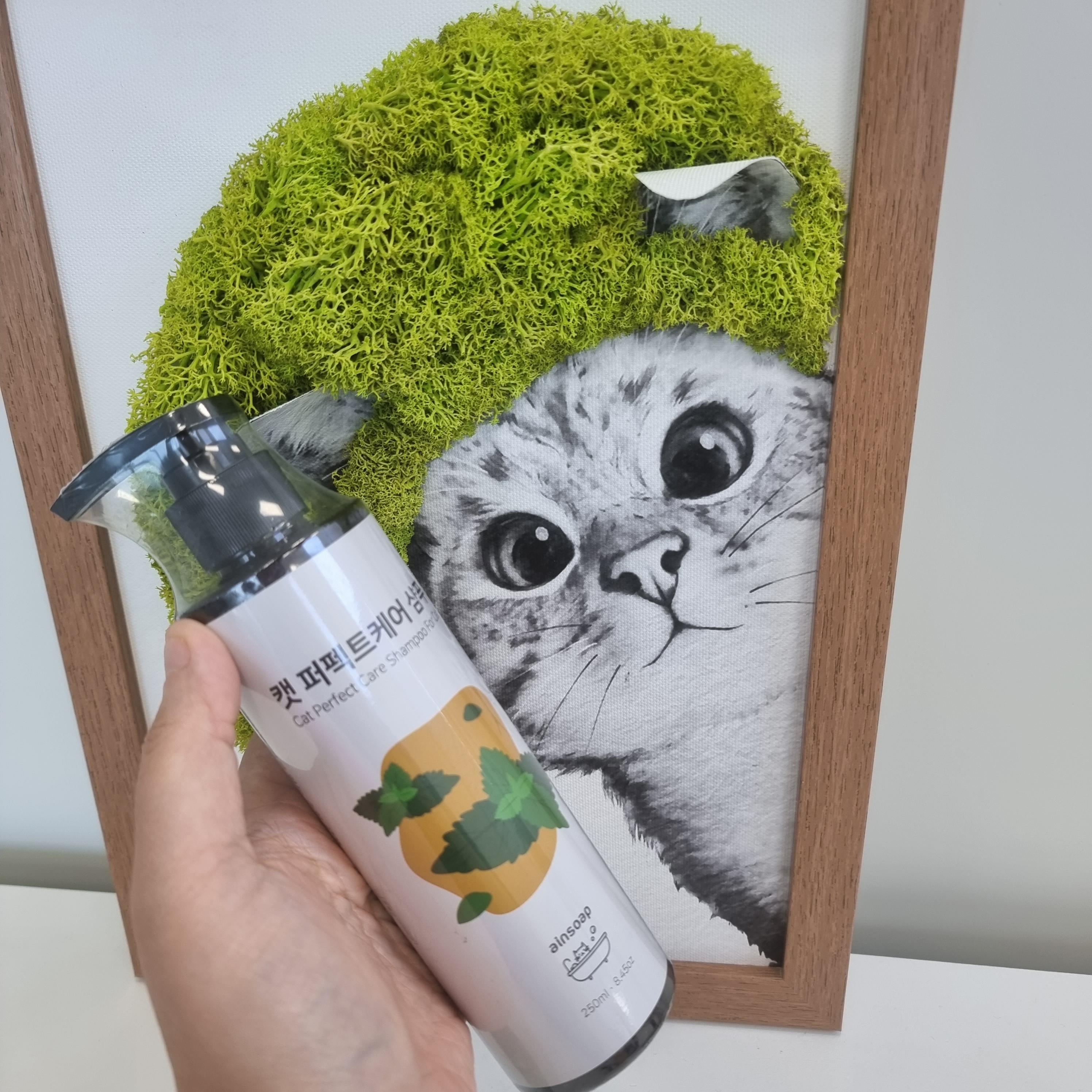 반려묘 천연 목욕 캣퍼펙트케어샴푸250ml - 상세 이미지 4