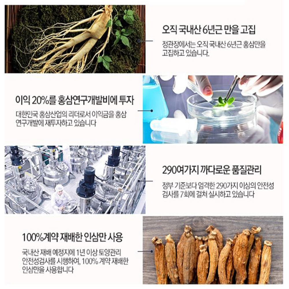 정관장 캐리어타입 홍삼원력 30포 6년근 농축액 1개월분 이미지 2