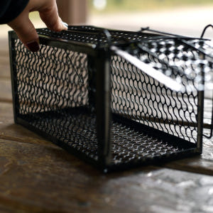 페스트세븐 쥐덫(그물망형) 두더지 덫 퇴치 약 쥐덧 쥐덪 쥐틀 쥐잡이 쥐... 솔직 후기 | 실제 사용자 리뷰 총정리 - 상품 이미지 1