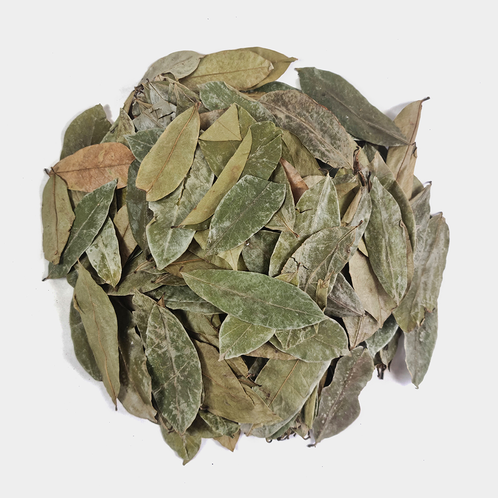 그라비올라 건잎 그라비올라잎차 250g - 상세 이미지 3