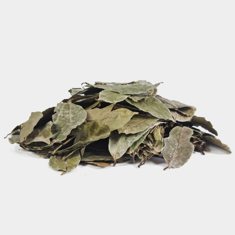 그라비올라 건잎 그라비올라잎차 250g - 상세 이미지 2
