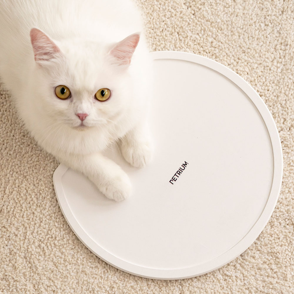 펫트리움 드라이 매트 강아지 식기 받침대