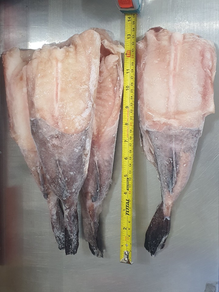 [대용량] 아귀꼬리순살 10kg (500/700) 1Box - 상세 이미지 2