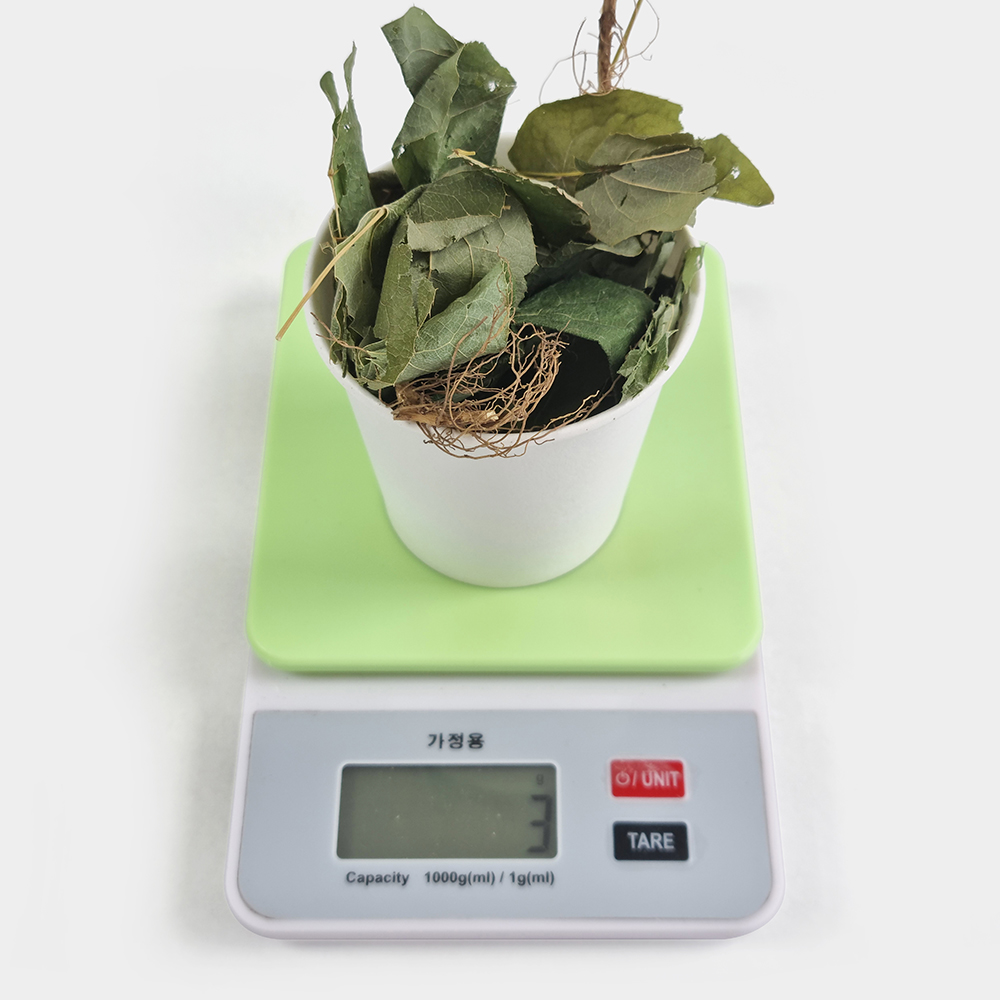 국산 건조 삼지구엽초 음양곽 250g - 상세 이미지 5