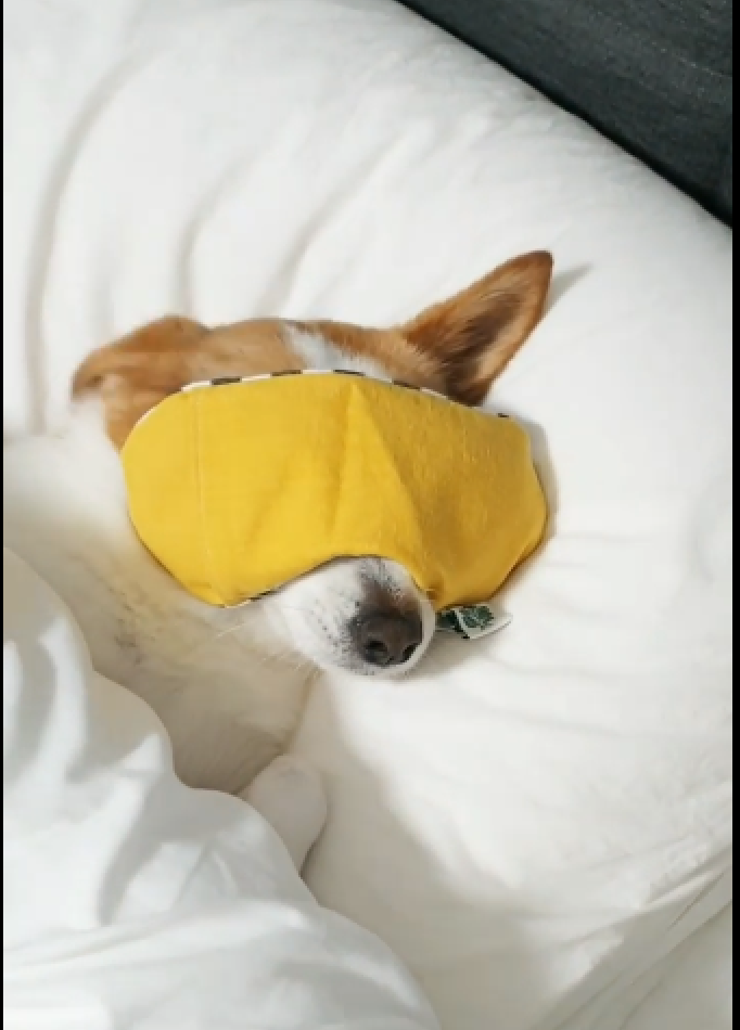 안구건조증 아기 다래끼 습식 온열안대 순면 친환경 유기농곡물 숙면 수면안대 이미지 8