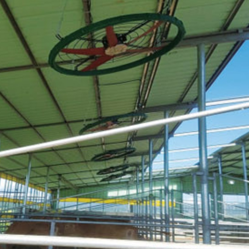 대형 천정형 선풍기 공업용 천정 선풍기 농업용 산업용 천장 선풍기