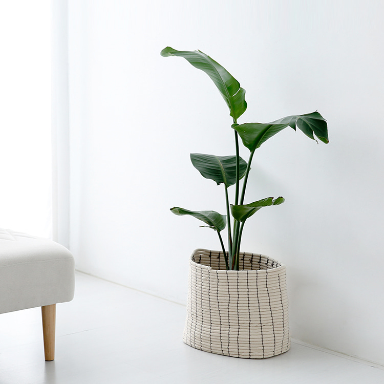 KVEILET 패브릭바구니 30cm 이미지 8