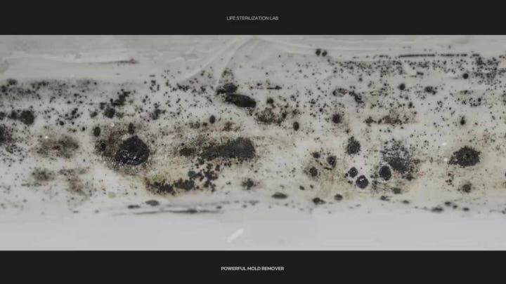 청소 중 이미지