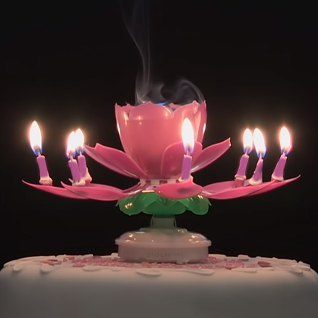 생일축하 회전 멜로디 케이크 생일초 기본 연꽃초 - 상세 이미지 5
