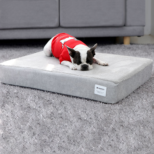 탄탄 애견침대 소파 강아지쇼파 쿠션 펫 코든 버블그레이 대형