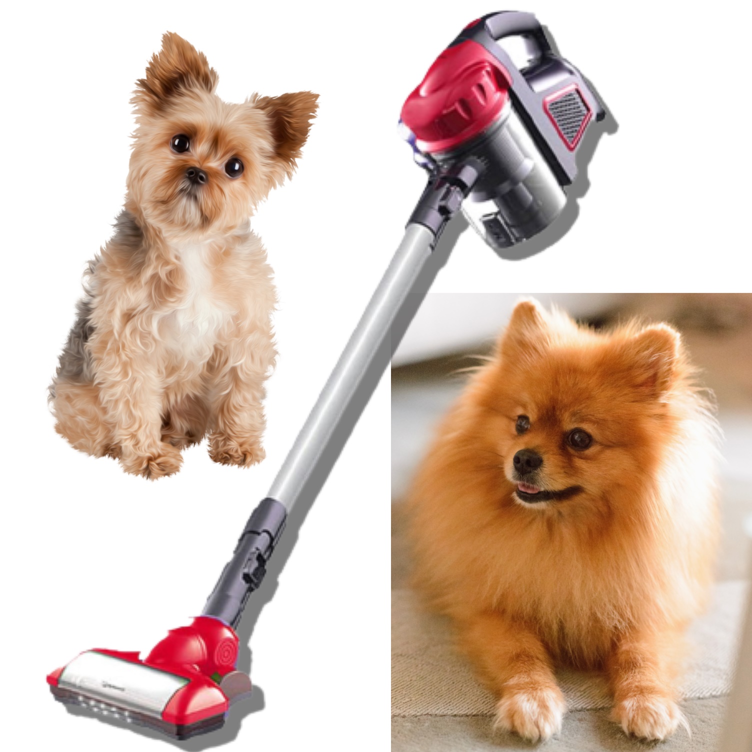 강아지 청소기 반려견 소형 반려동물 애견 청소기 펫 청소기