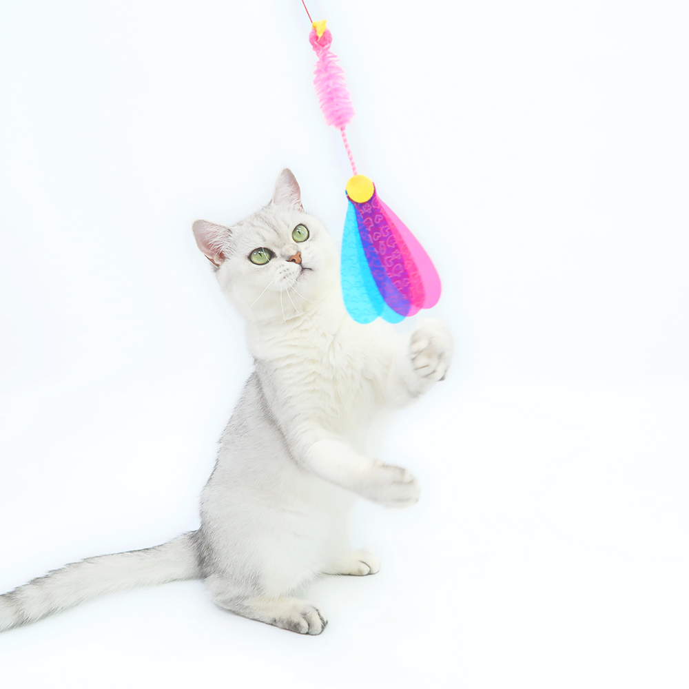 카샤카샤 붕붕 낚시대 펫츠루트 고양이 재롱스틱 - 상세 이미지 2