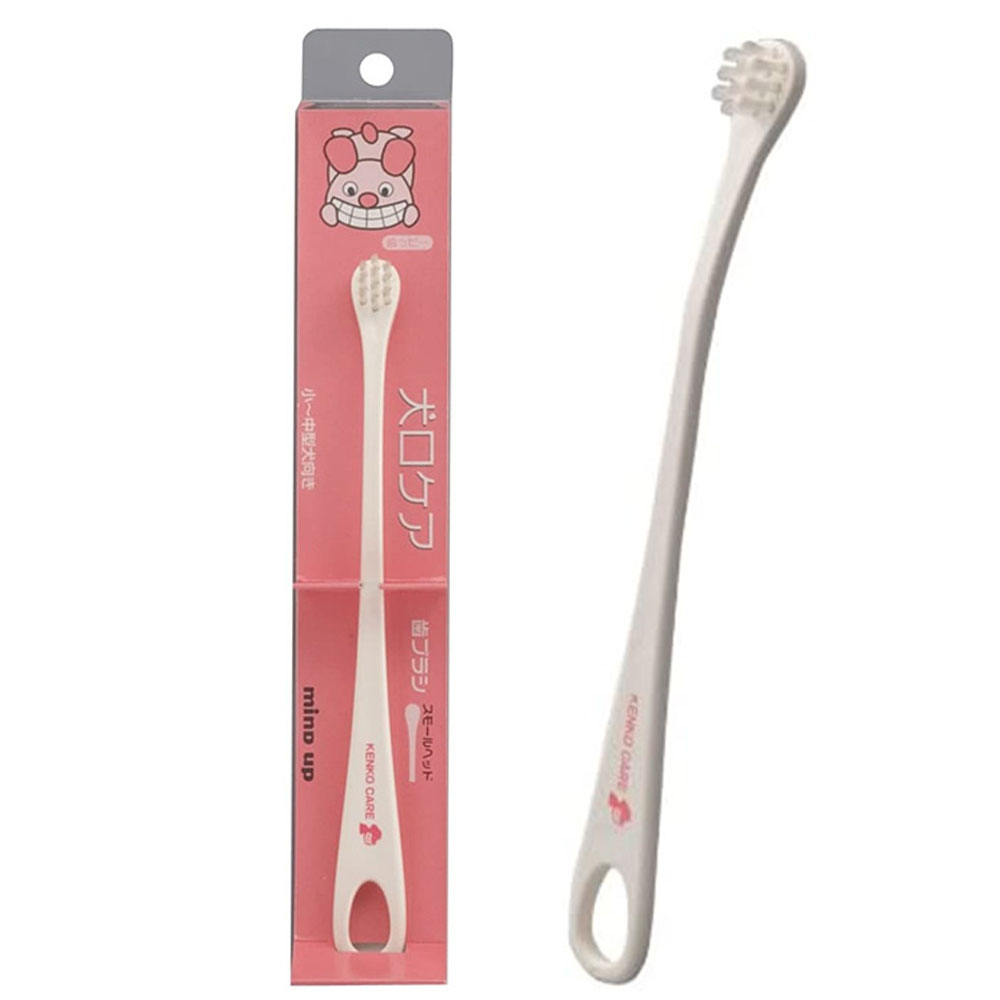 마인드업 켄코케어 강아지 칫솔 구강관리 양치 스몰헤드