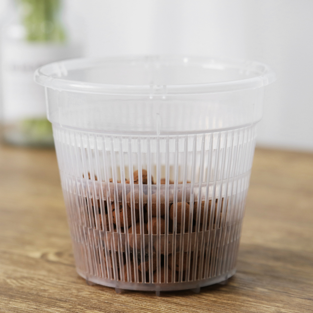 투명화분 메쉬 저면관수 사각포트 화분 추천 저면관수 활용법