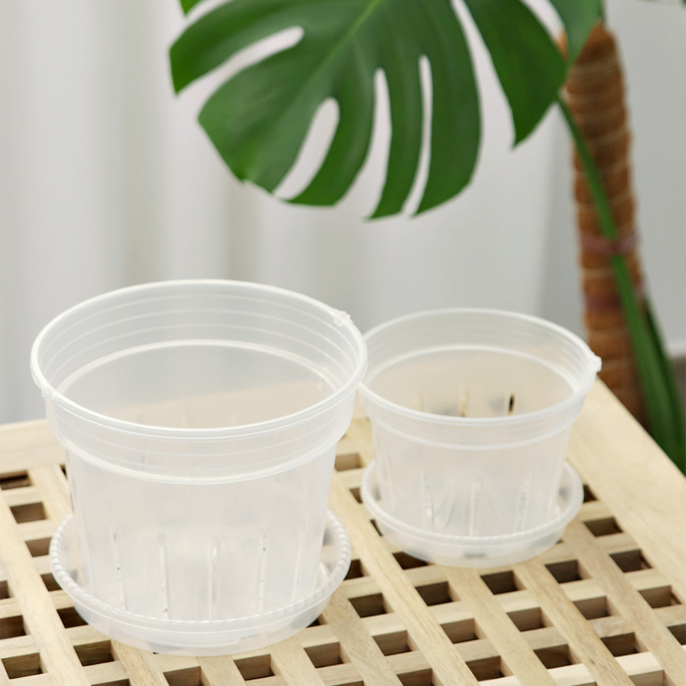 투명화분 저면관수 프라스틱 플분 에어 슬릿화분 S - 상세 이미지 5