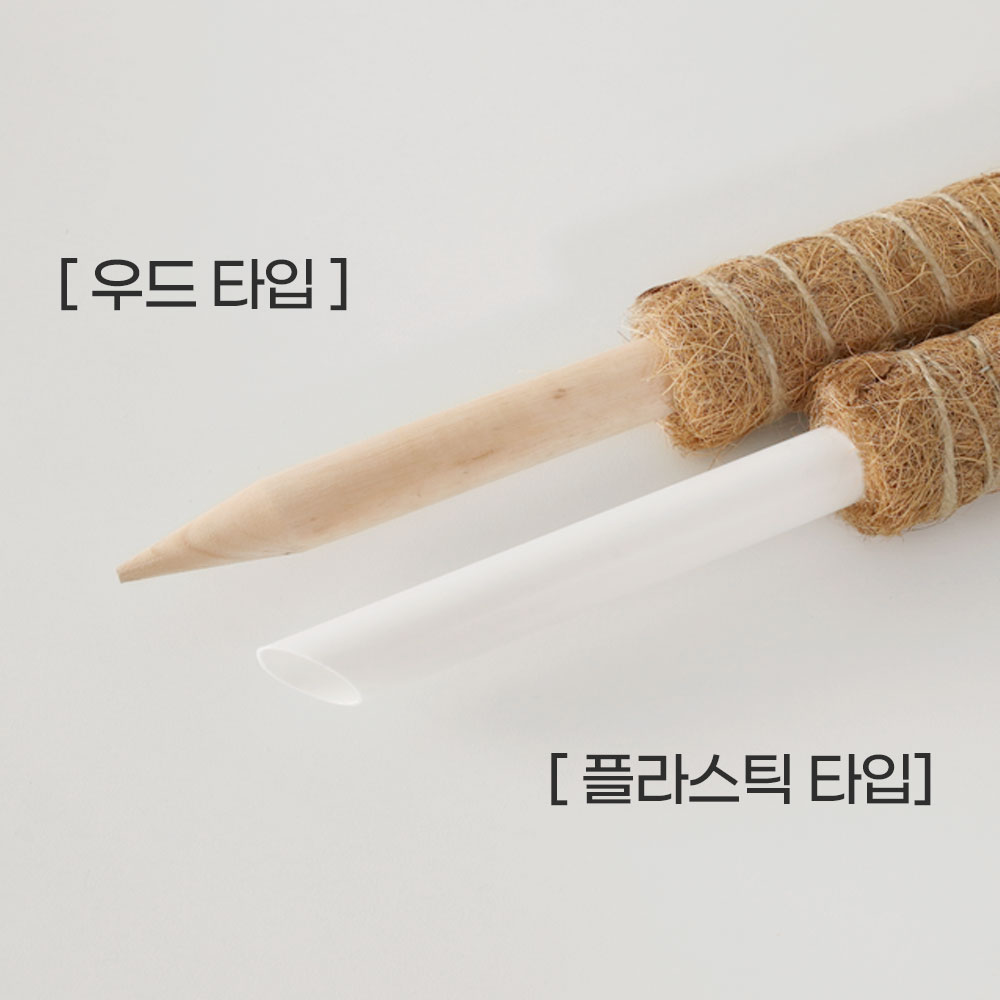 수태봉 몬스테라 화분 식물지지대 곰팡이 걱정없는 연결형 코코봉 플라스틱 슬림 40cm - 상세 이미지 2