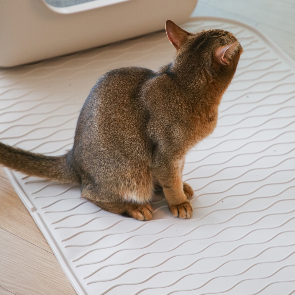 캣츠태그 묘래매트 고양이모래매트 사막화 미끄럼방지 TPE 대형 이미지 2