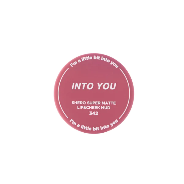 인투유 립 머드 INTO YOU Canned Lips & Cheek Mud 342 외 - 상품 이미지