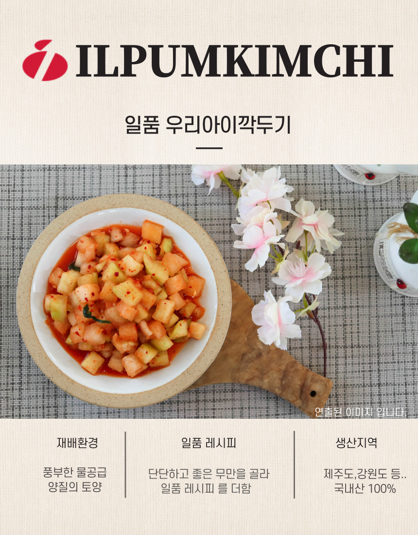 일품 우리아이 깍두기 1Kg (소포장) 국내산 100% 농산물 - 상세 이미지 2