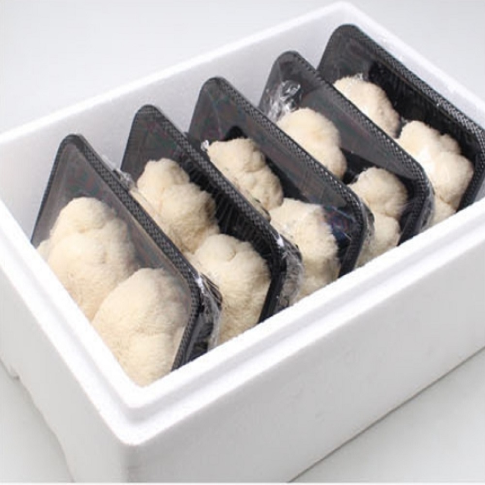 노루궁뎅이버섯 10송이 무농약 생 노루궁댕이 버섯 1kg - 상품 이미지
