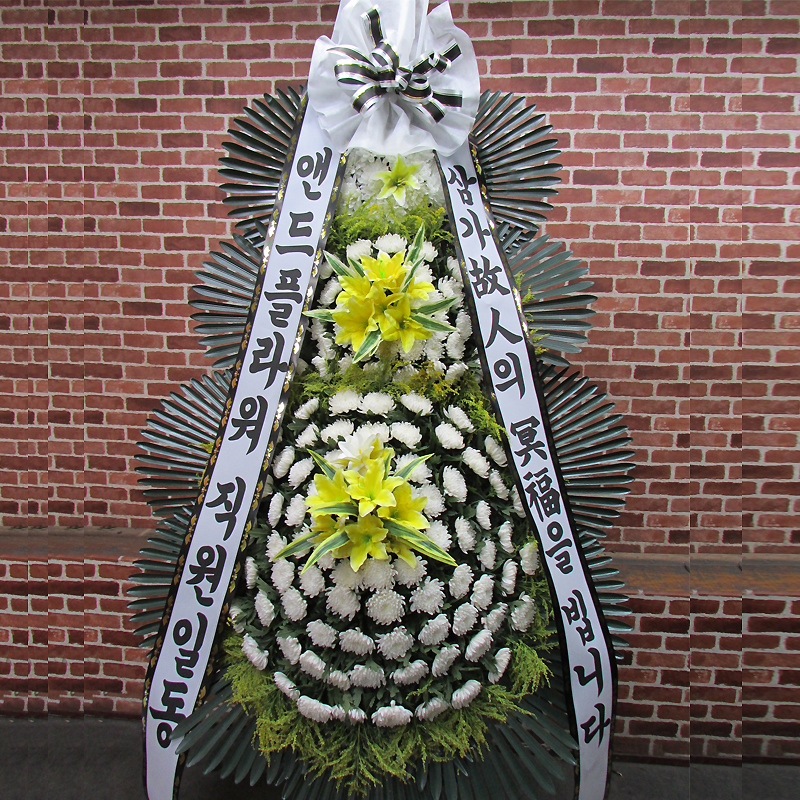당일전국꽃배달 꽃바구니 생일 근조 축하 화환 개업화분 결혼식 장례식 꽃다발 동양란 서양란