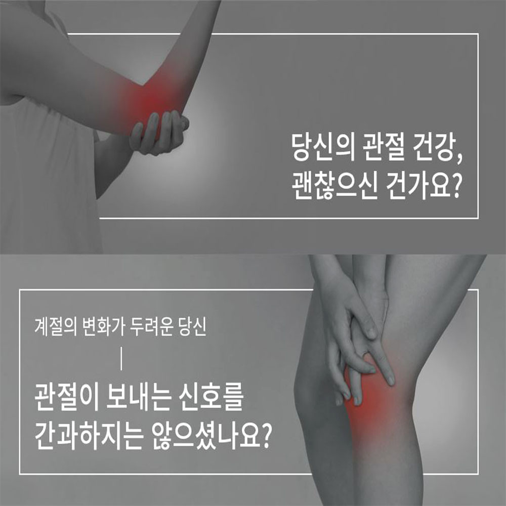 글루코사민 조인트 MSM 60정 관절통 연골건강 1개월분 이미지 3