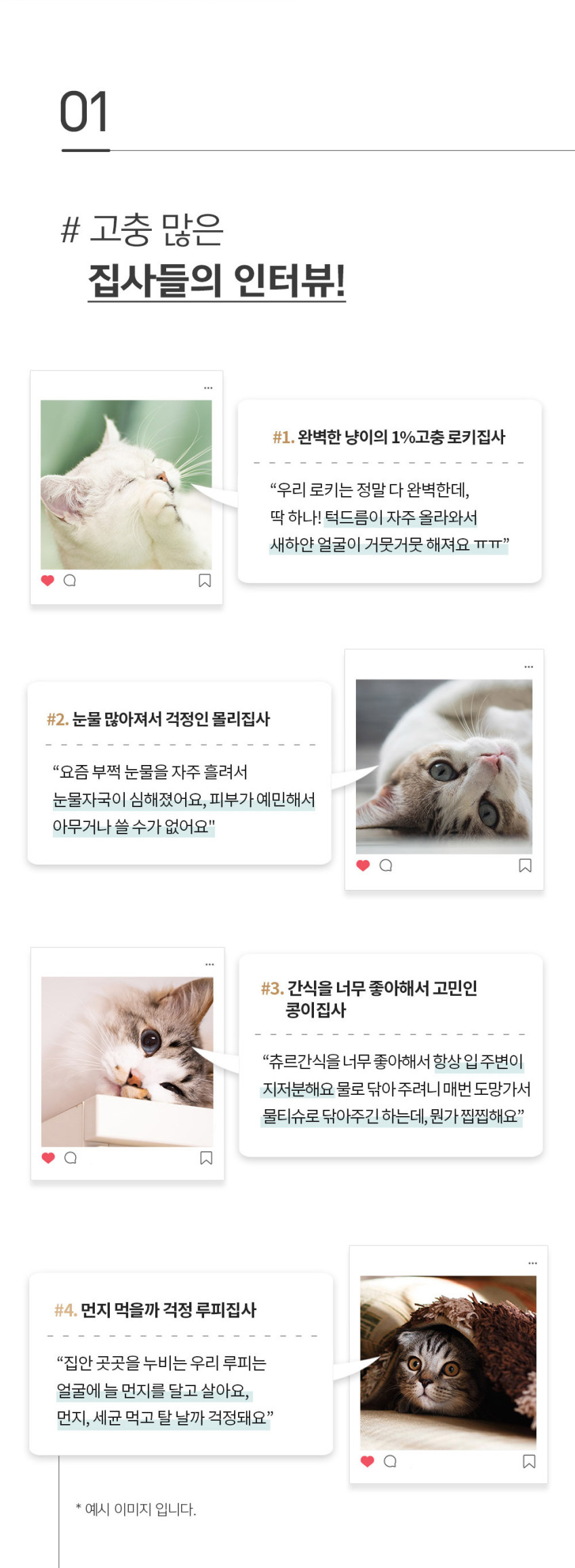 페피릴리프 고양이 물티슈 10팩 대나무원단 페이셜티슈 판매처 상세 정보 이미지 3