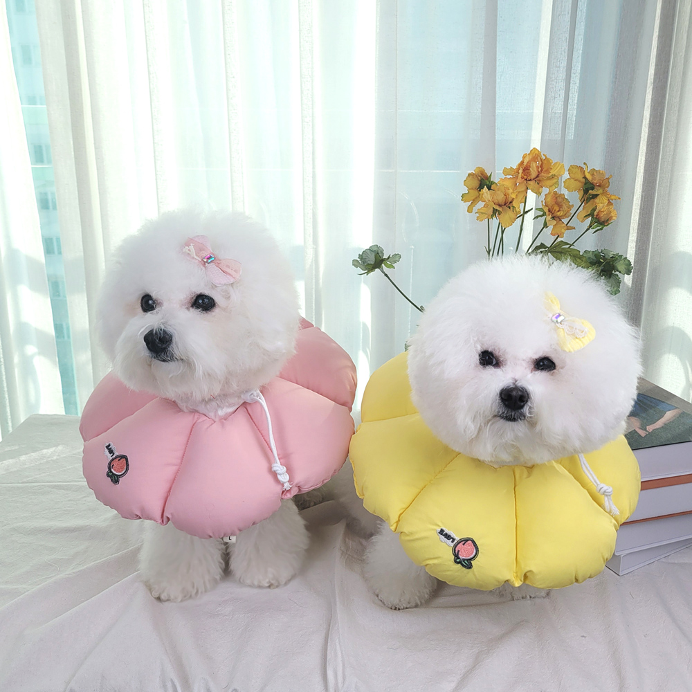 리치독스 강아지 넥카라 애견 고양이 깔대기 중성화 자수방수 S