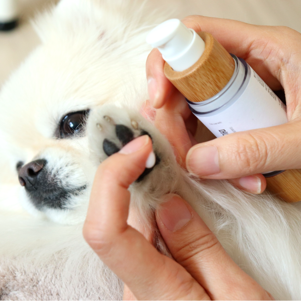 강아지 보습제 발바닥 크림 에센스 곰팡이성 피부염 아토피 코까짐 습진 연고 몽셀 30ml - 상세 이미지 5